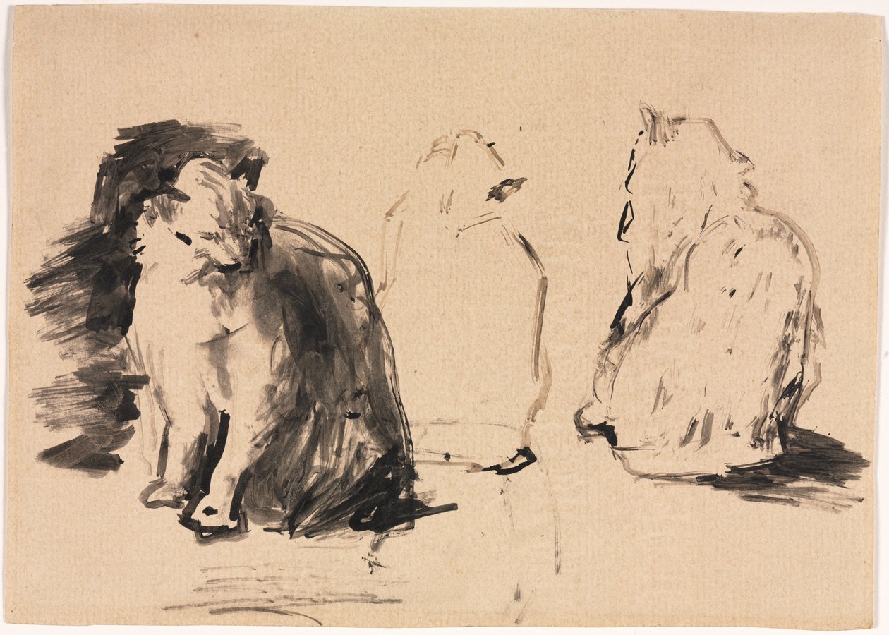 Katter (recto) av Theodule Ribot