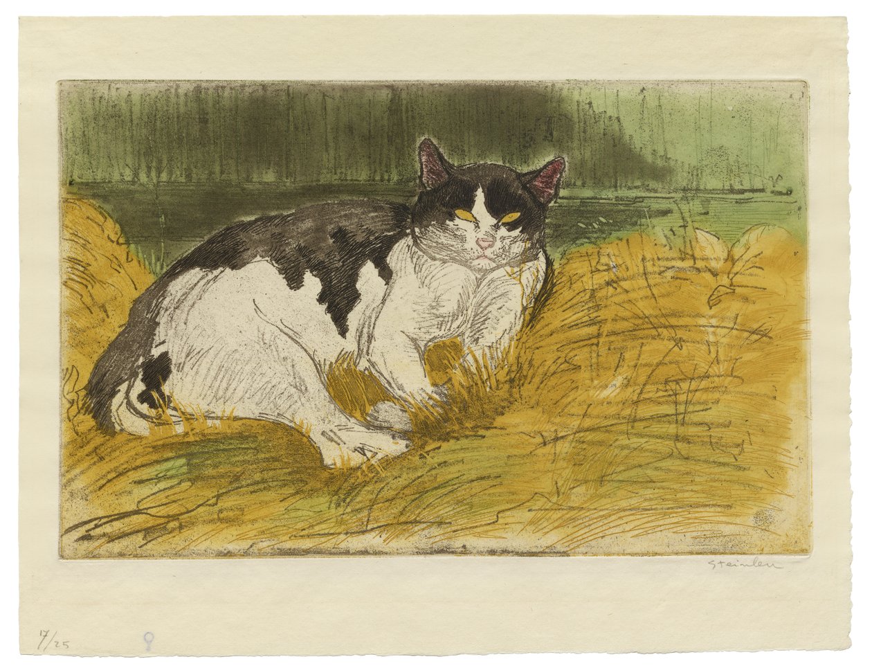 Gammal svartvit katt i gräset av Théophile Alexandre Steinlen