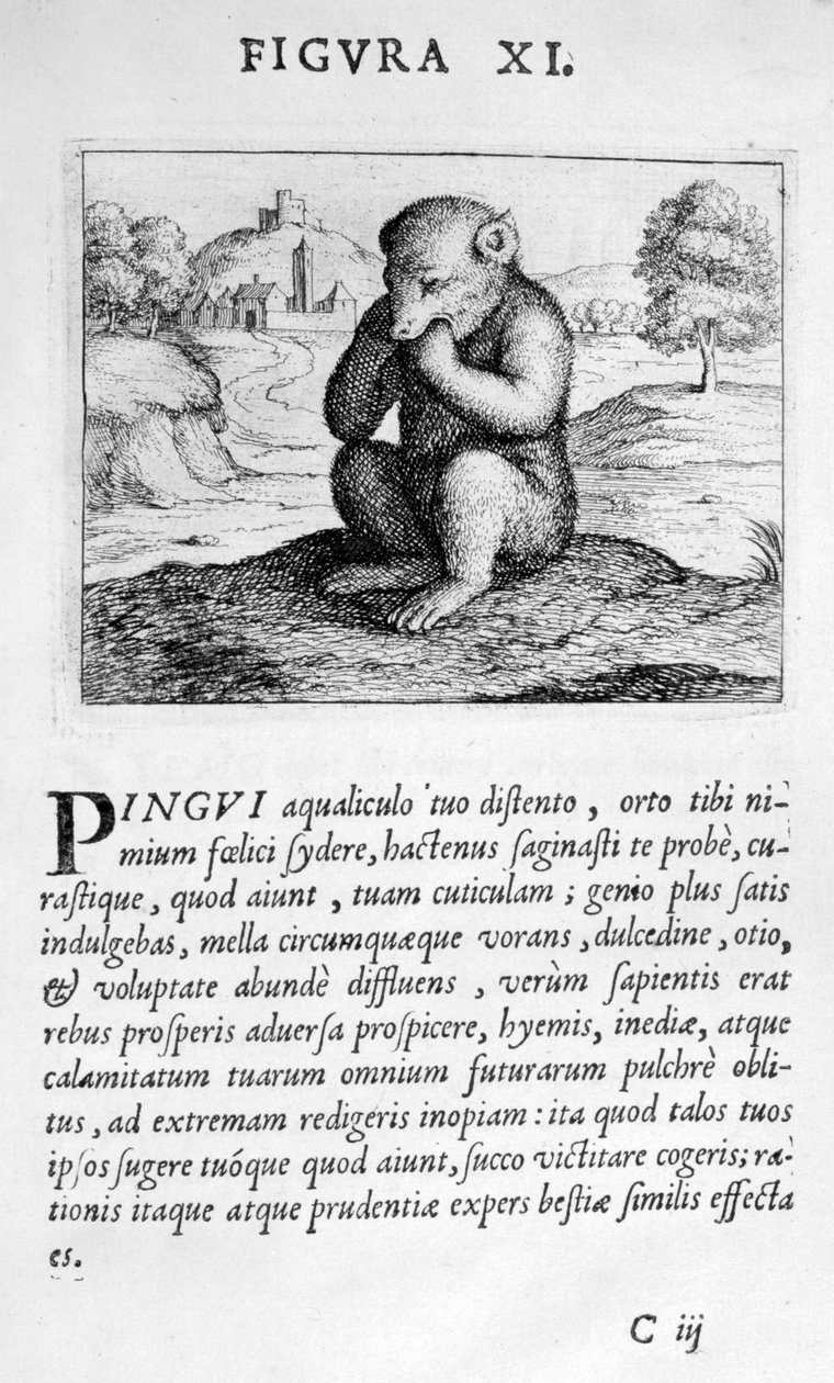 Profetifigur XI från Prognostication of the Eximii Doctor Paracelsus, 1536 av Theophrastus Bombastus von Hohenheim Paracelsus