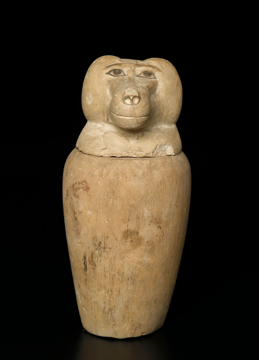 Canopic burk (kalksten) av Third Intermediate Period Egyptian
