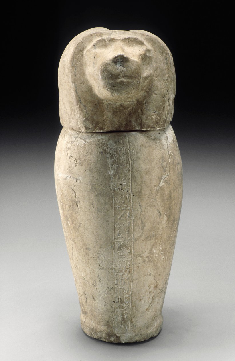Canopic burk med Cynocephalous Head (kalksten) av Third Intermediate Period Egyptian