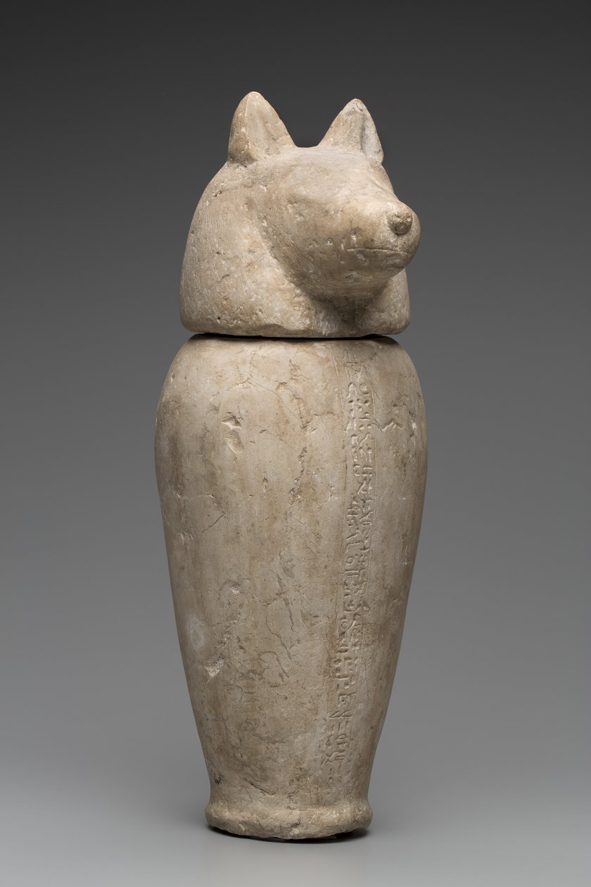Canopic burk med schakalhuvud (kalksten) av Third Intermediate Period Egyptian