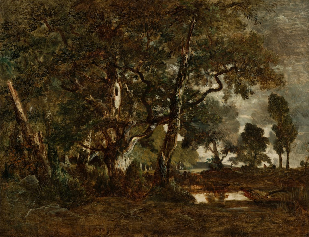 Forest of Fontainebleau, Cluster of Tall Trees Overlooking the Plain of Clair-Bois at the Edge of Ba... av Pierre Etienne Theodore Rousseau