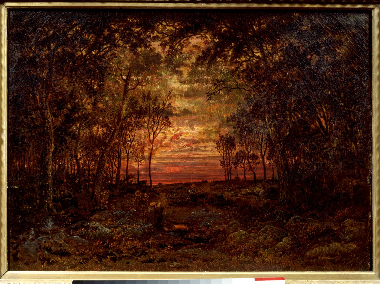 Solnedgång i skogen Målning av Theodore Rousseau (1812-1867) Barbizonskolan från 1800-talet. Dämpa. 0,46x0,62m. Olja på duk. . av Pierre Etienne Theodore Rousseau