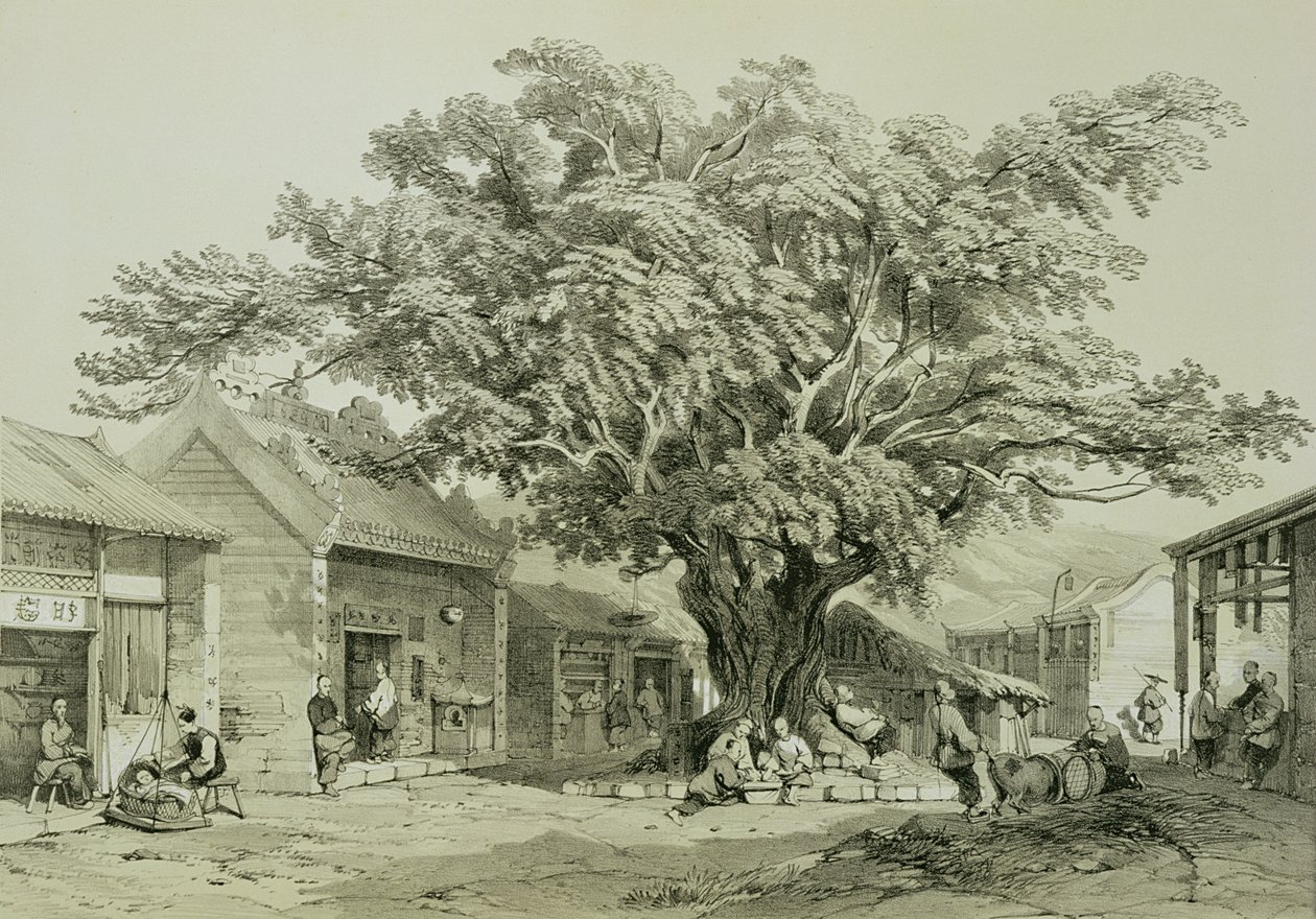 Templet, Macao, ca 1850 (penna och bläck, penna, förhöjd med vitt på papper) av Thomas Allom