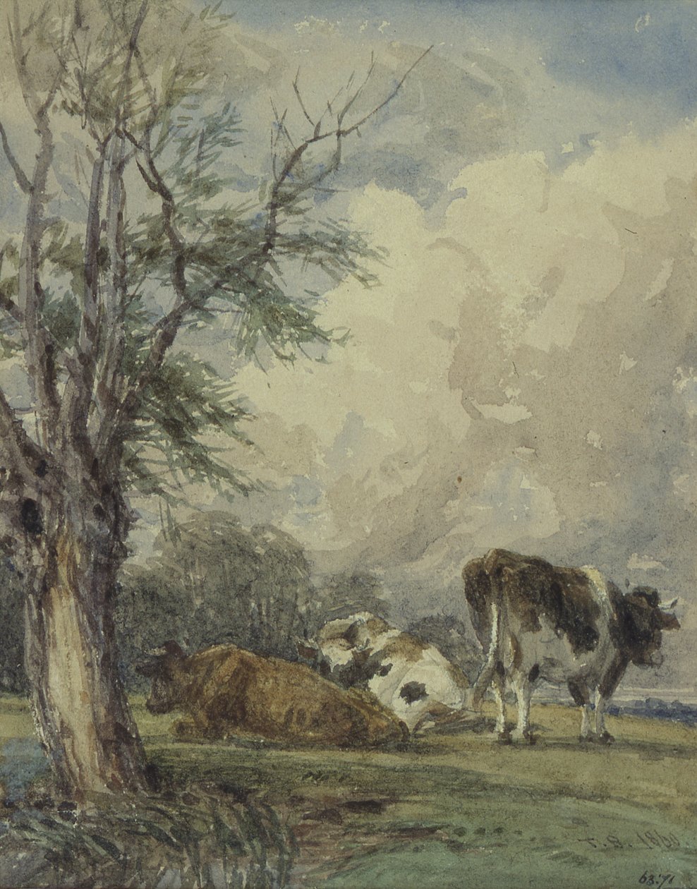 En studie av nötkreatur, 1800-talet av Thomas Baker