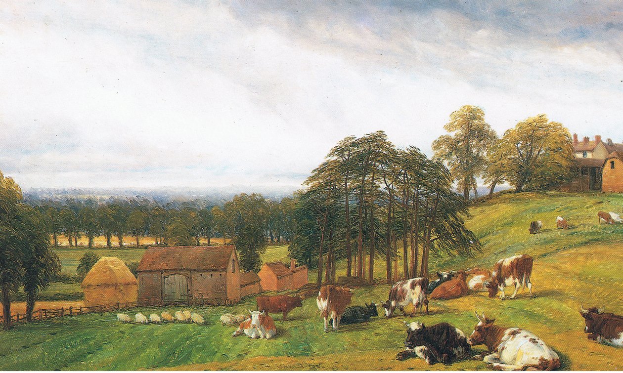 Nötkreatur och får på Old Park Farm av Thomas Baker