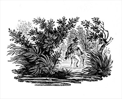 Fording the River, från Land Birds, ca. 1797 (trästick) av Thomas Bewick