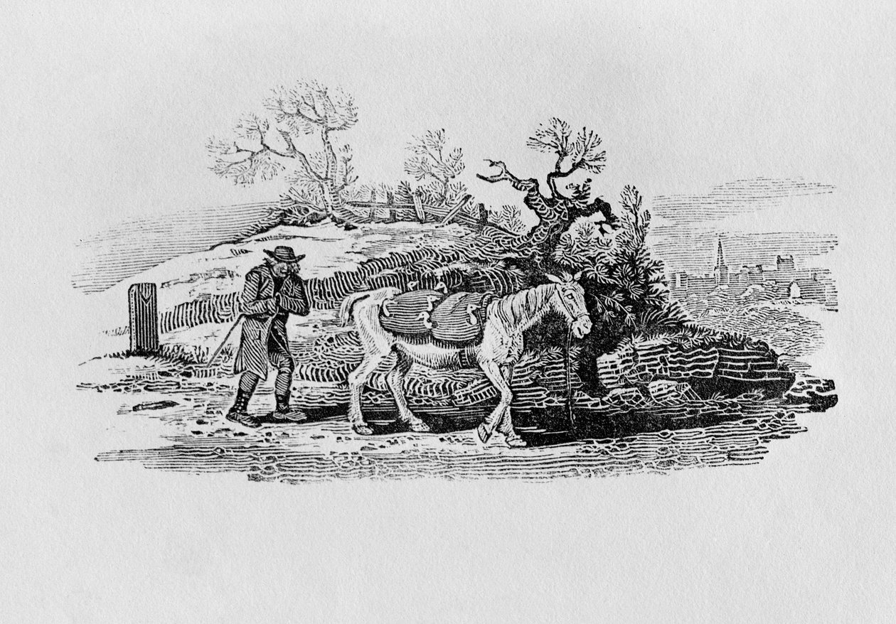 Gäss bärs till marknaden från "History of British Birds and Quadrupeds" av Thomas Bewick
