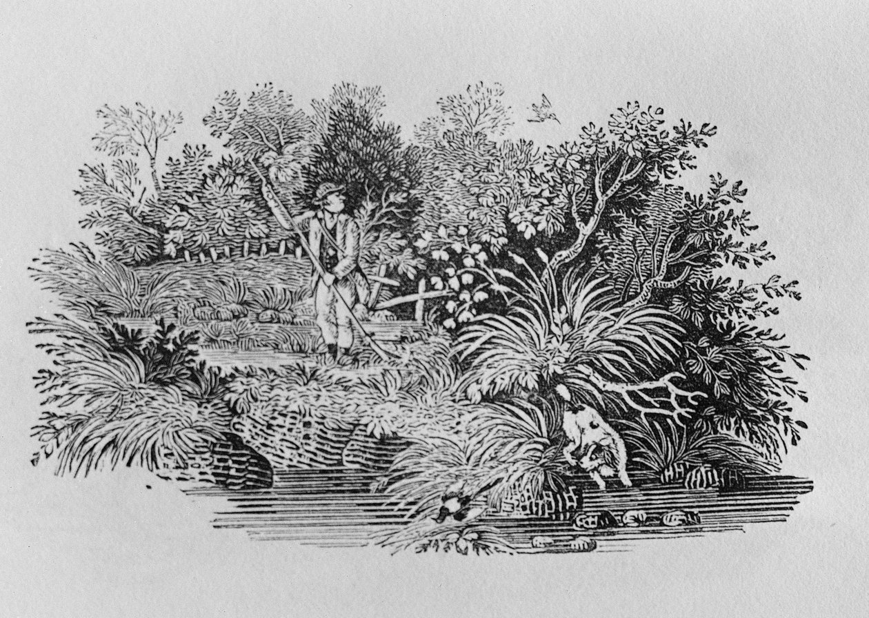 Letar efter Shot, sent 1700-tal eller tidigt 1800-tal (trägravyr) av Thomas Bewick