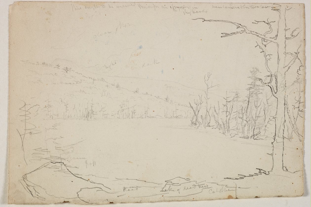 Lake of Dead Trees, Catskill, 1825 (grafitpenna på benvitt papper) av Thomas Cole