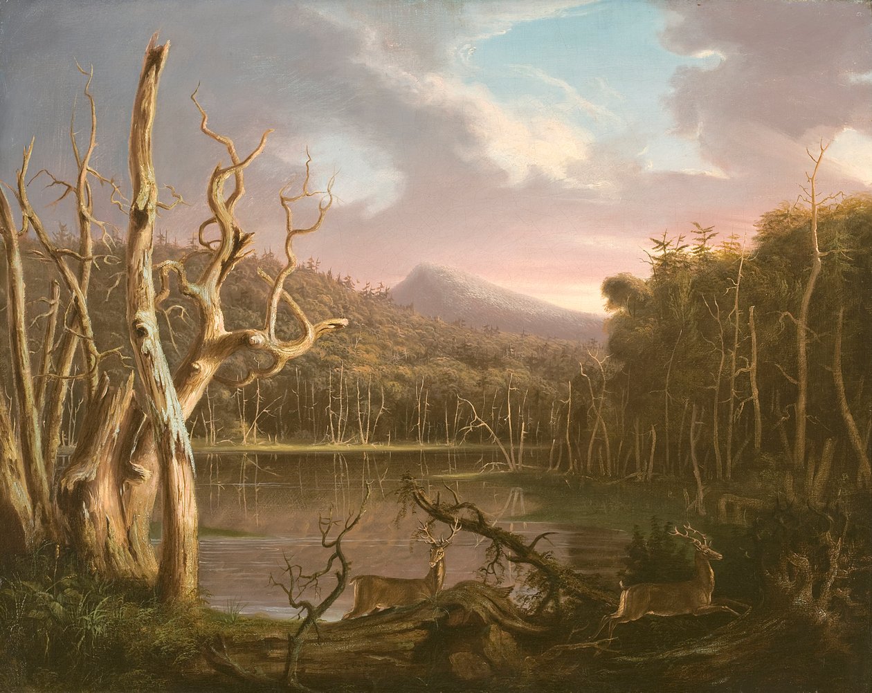 Sjön med döda träd (Catskill) av Thomas Cole