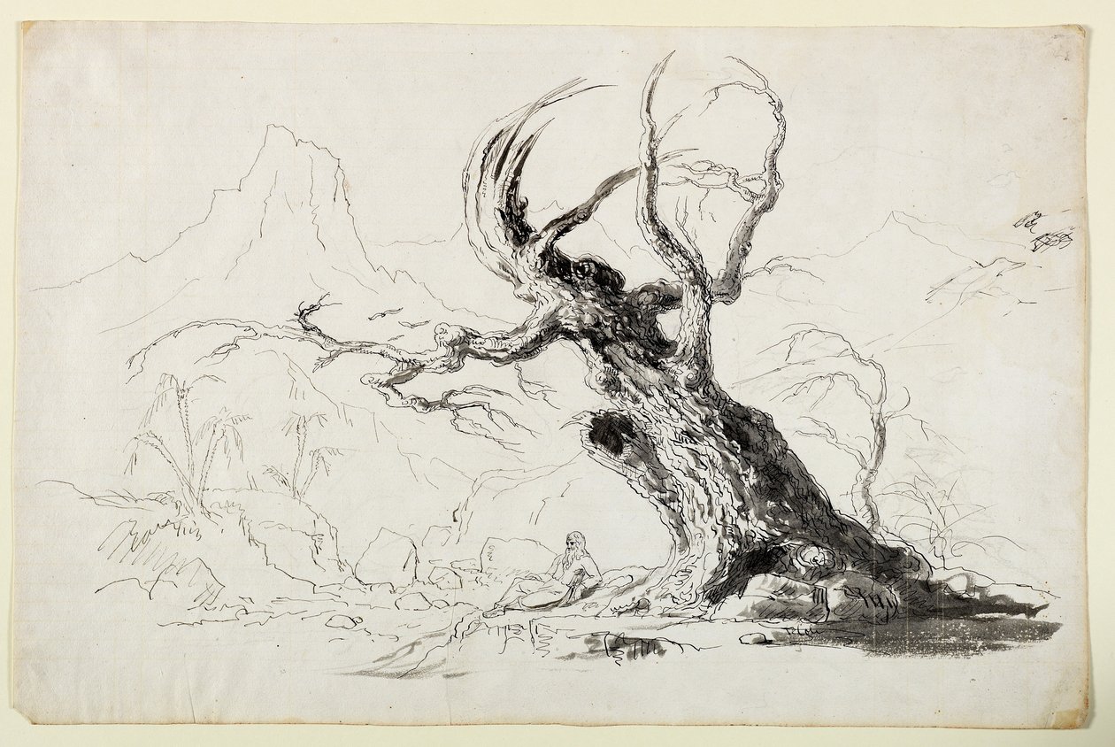 Stort knotigt träd med skäggig man som sitter nedanför (penna och bläck över penna på papper) av Thomas Cole