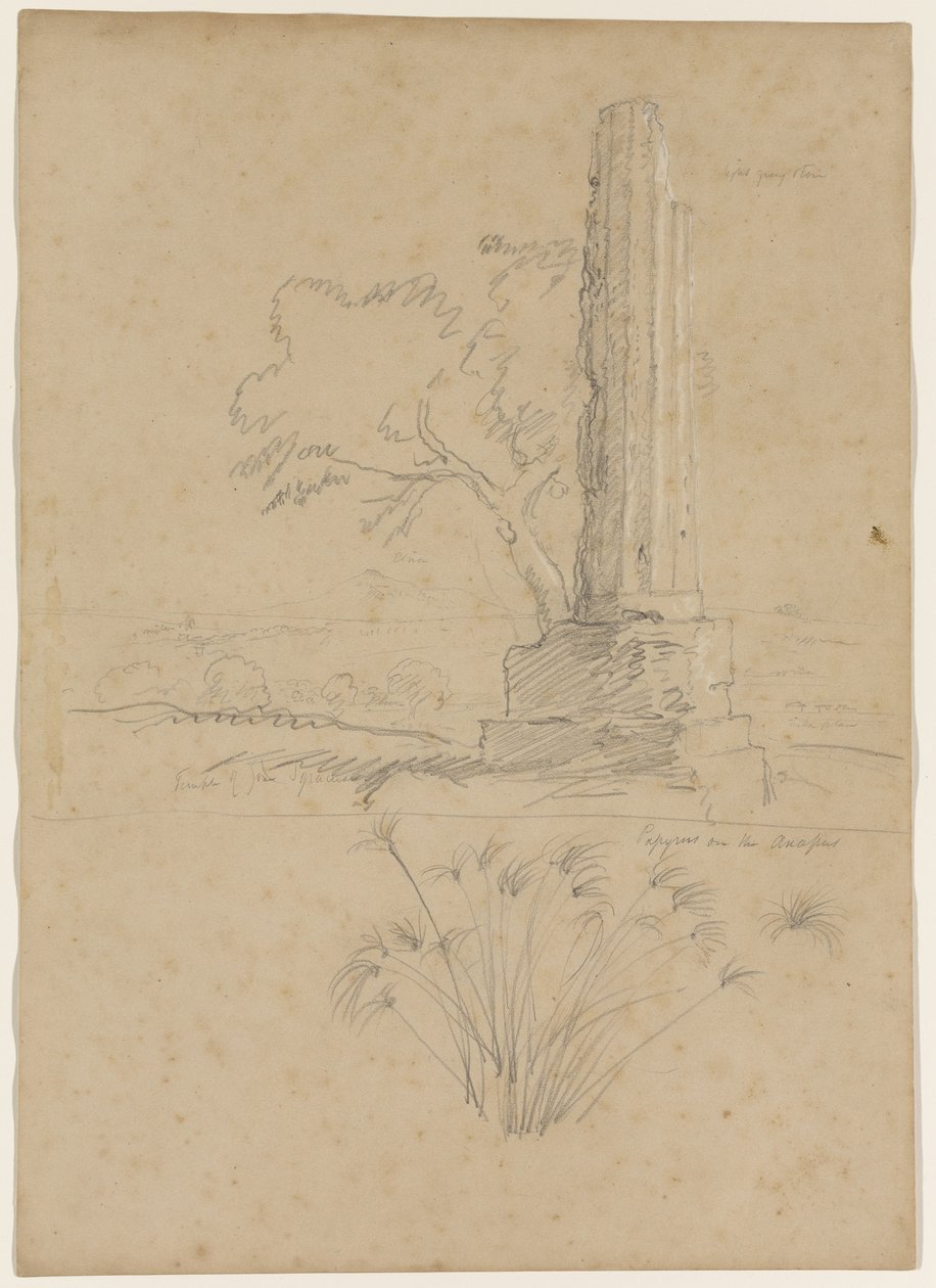 Zeus och Papyrus tempel vid Anapofloden, nära Syrakusa, Sicilien, 1842 (penna förhöjd med vit krita på papper) av Thomas Cole