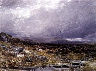 På Siabod Flats, norra Wales av Thomas Collier
