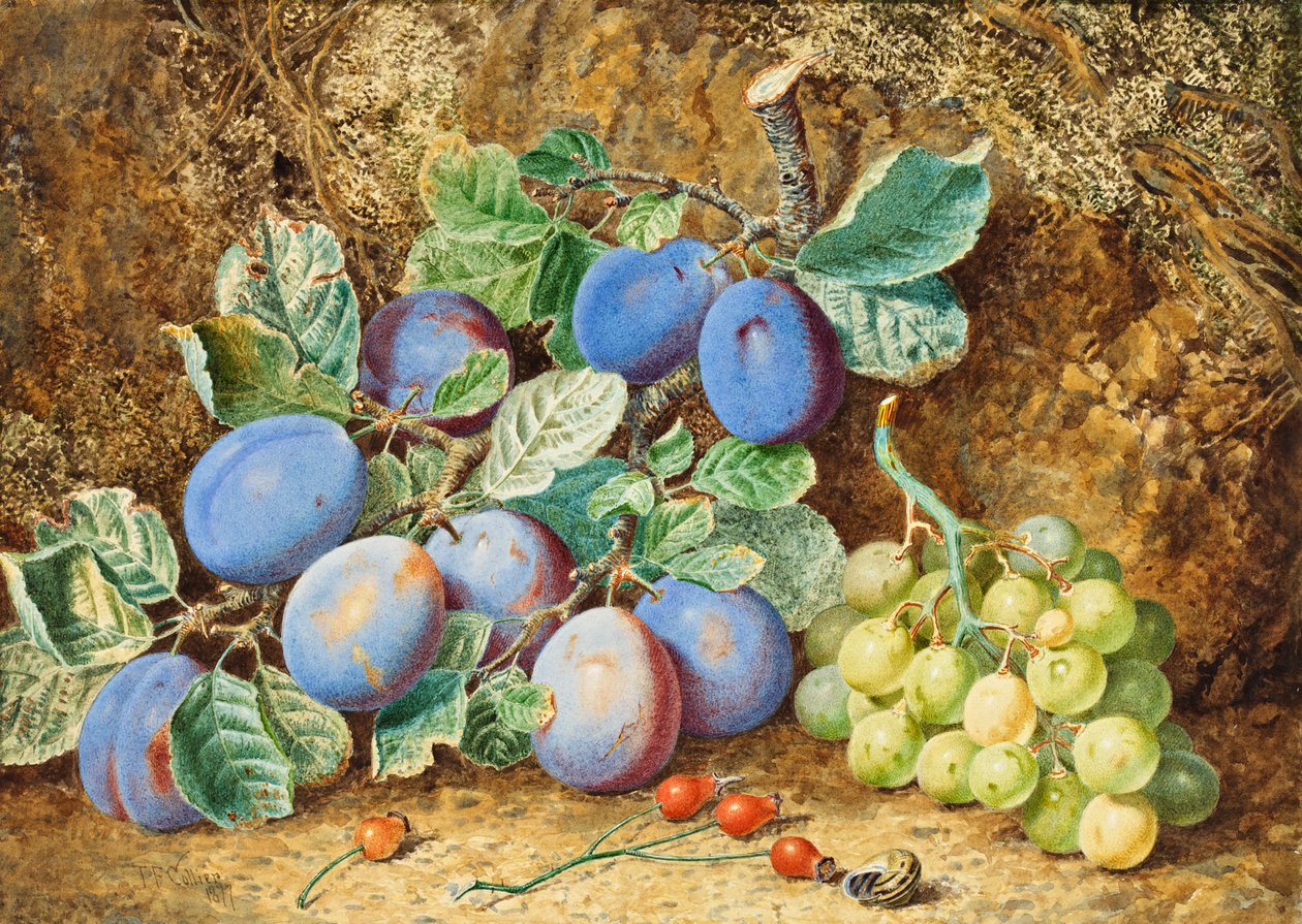 Plommon och vindruvor, 1877 av Thomas Collier
