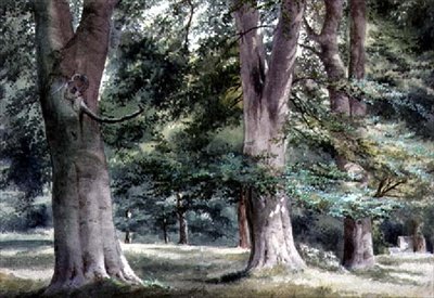 Studie av bokträd av Thomas Collier