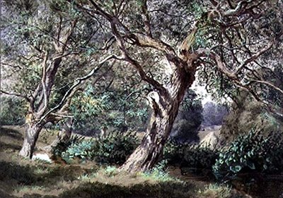 Studie av pilträd vid en bäck av Thomas Collier