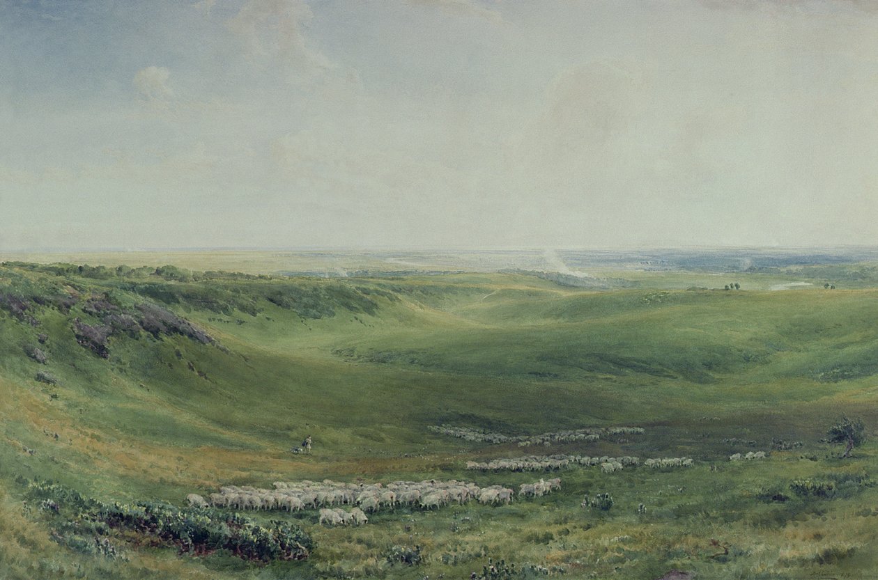 Breda betesmarker, Sussex (akvarell) av Thomas Collier