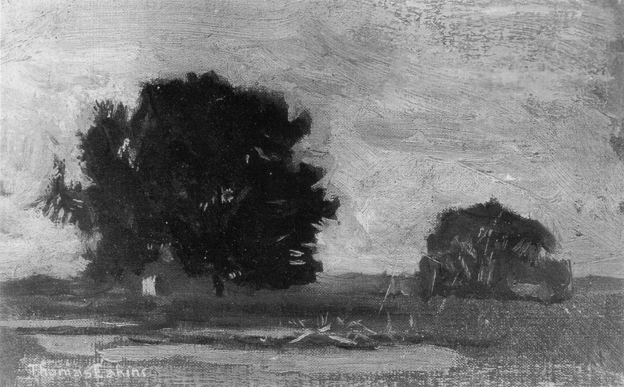 Unbekanntes Bild av Thomas Eakins