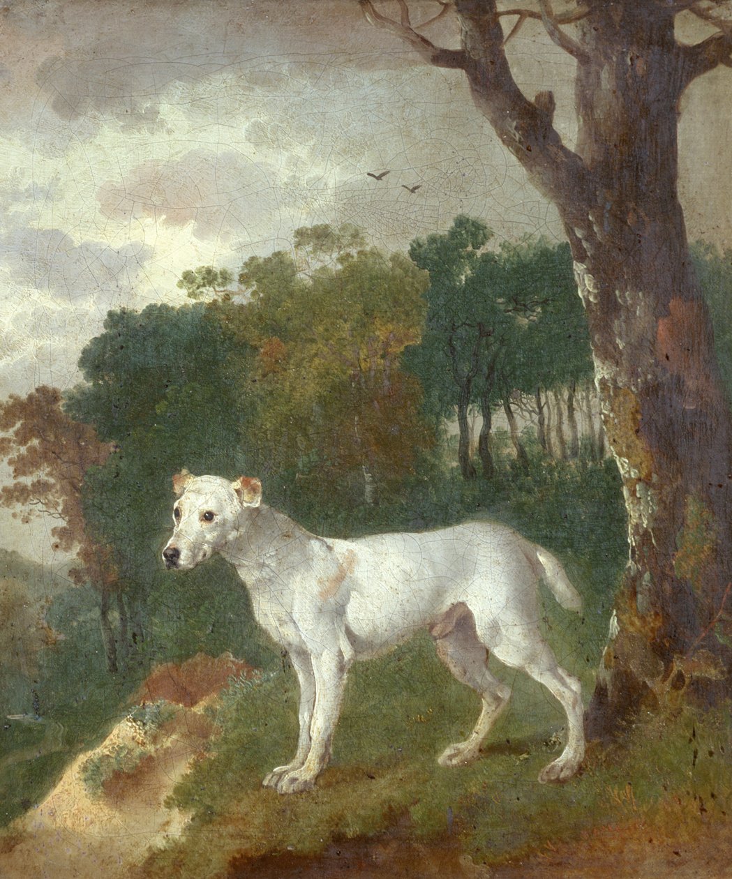 Bumper, en bullterrier, 1745 av Thomas Gainsborough