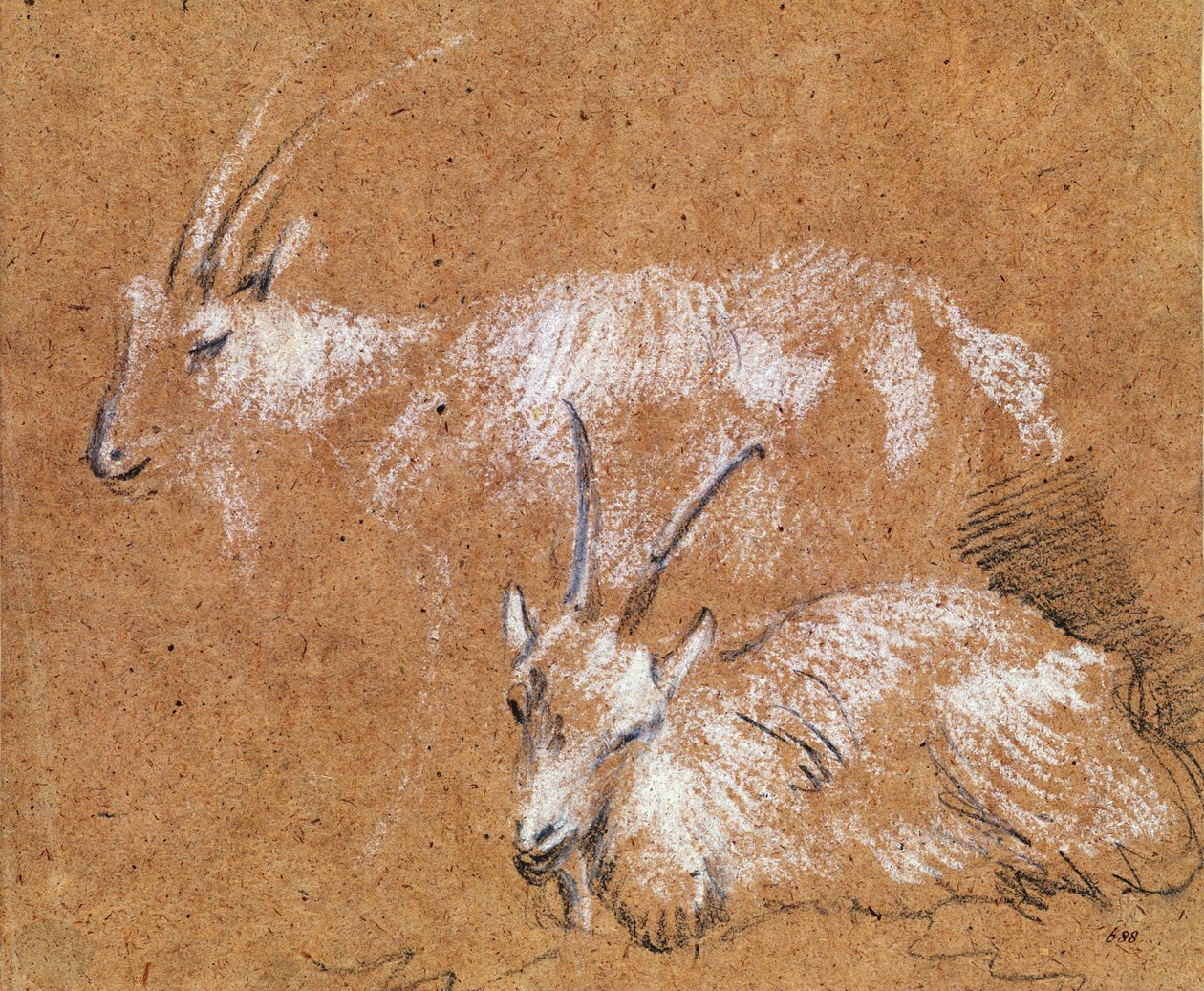 Studie av getter (teckning) av Thomas Gainsborough