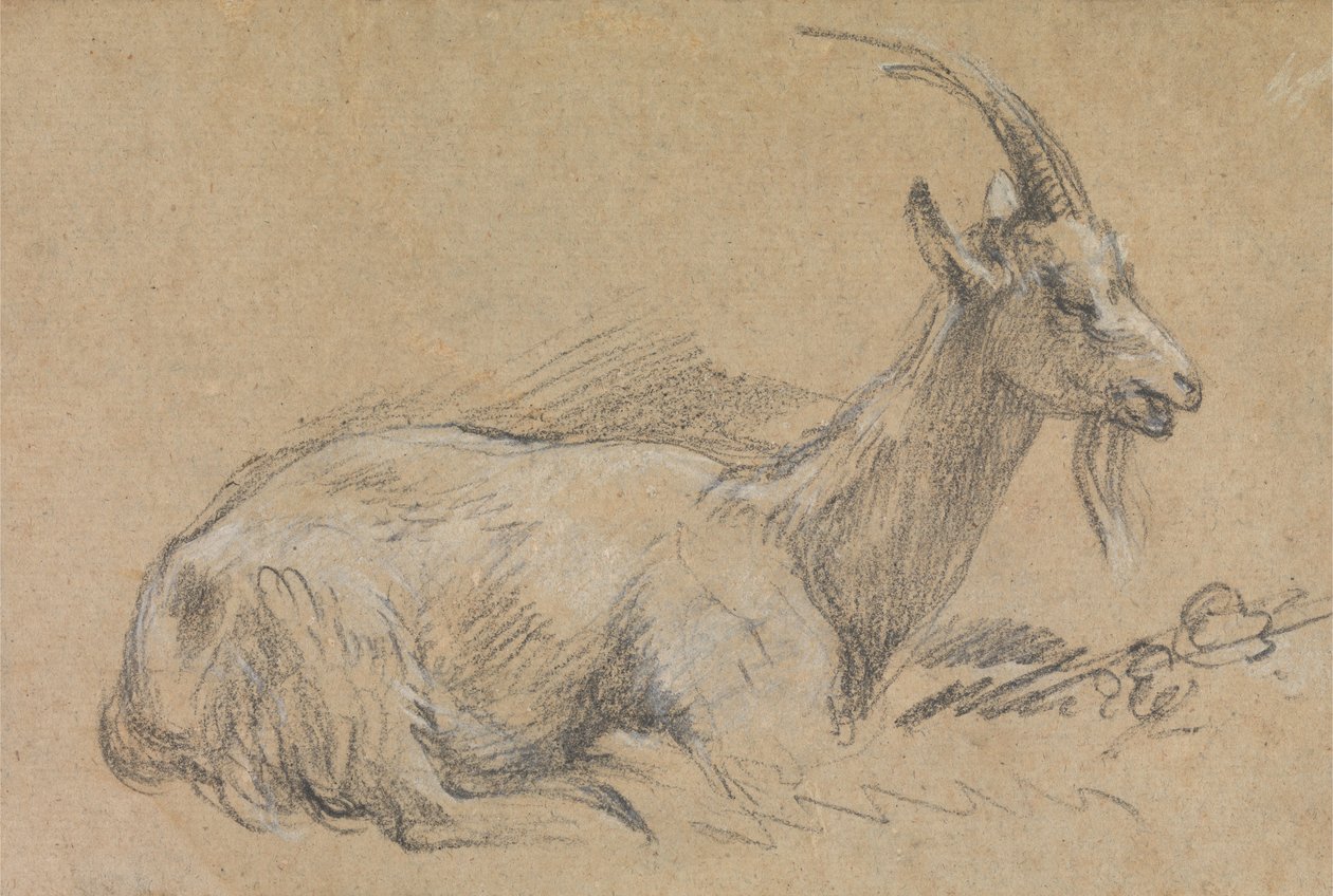 Studera en get av Thomas Gainsborough