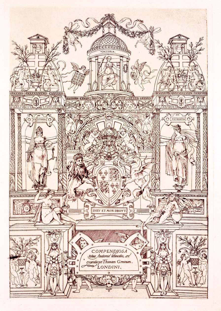Frontispice till Compendium of Anatomy, 1545 av Thomas Geminus