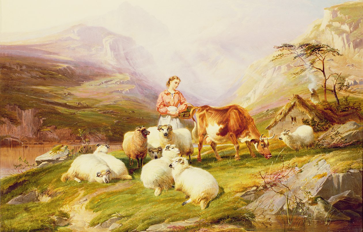 Ko och får på ett bergsbete av Thomas George Cooper