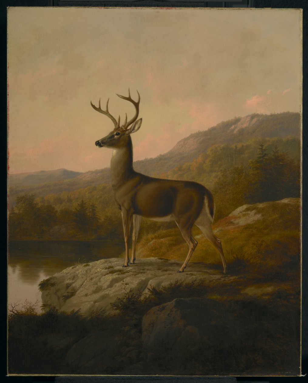 swed av Thomas Hewes Hinckley