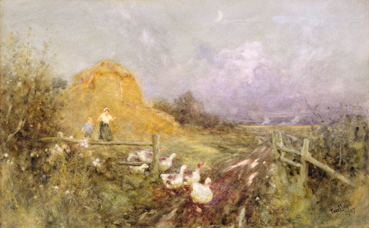 Gäss, tidigt på kvällen, 1907 av Thomas James Lloyd