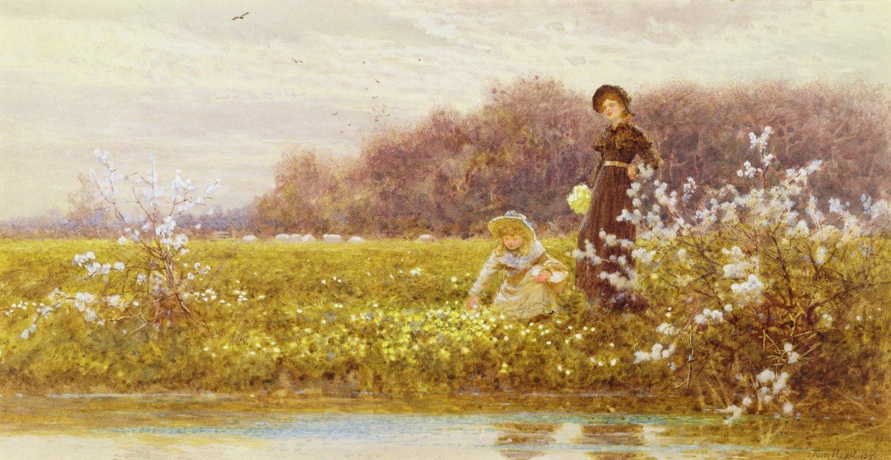 Plocka primörer, 1896 av Thomas James Lloyd