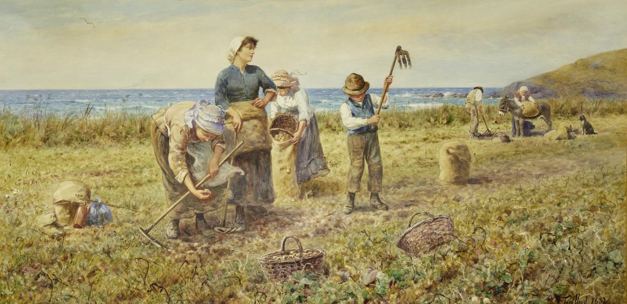 Potatisskörden av Thomas James Lloyd