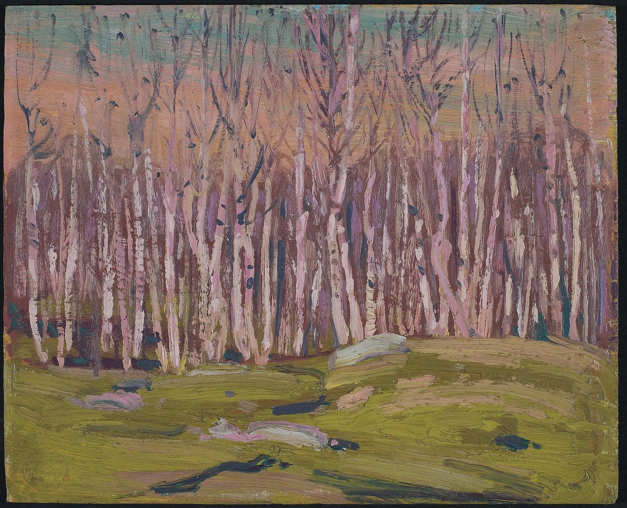 Silverbjörkar, ca 1915 (olja på träpanel) av Tom Thomson