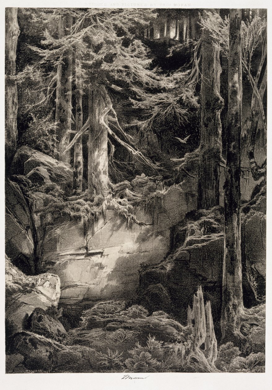 I Wissahickons skog, 1868 av Thomas Moran
