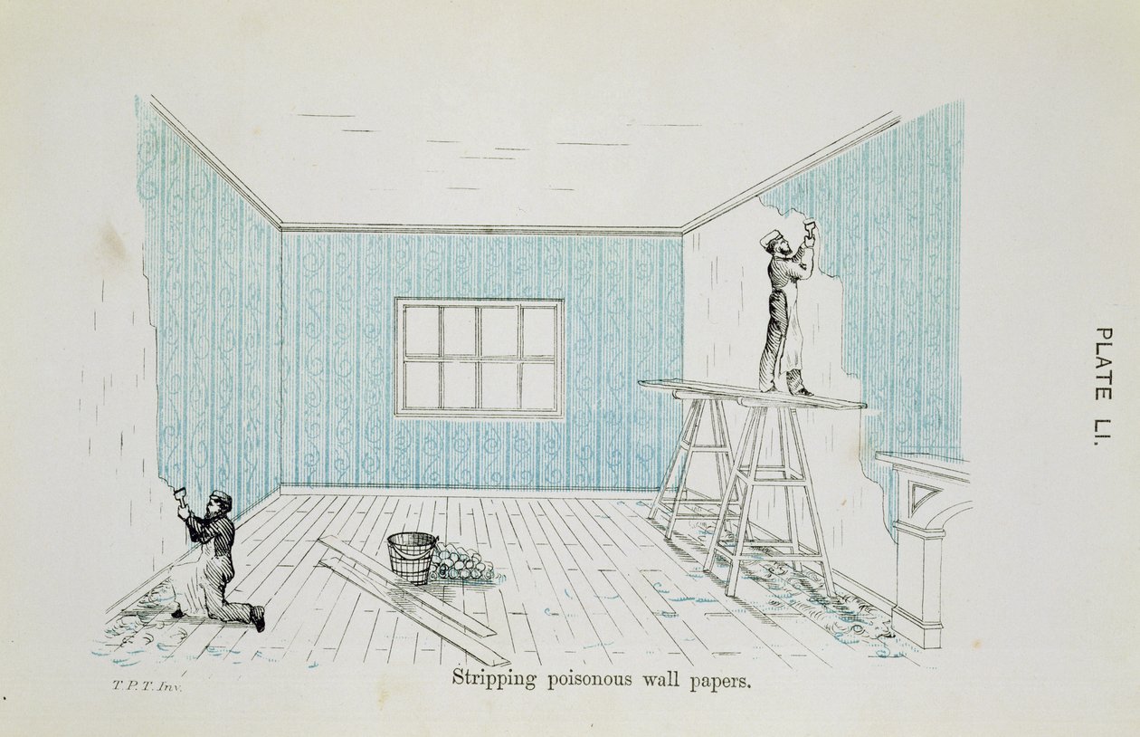 Ta bort giftiga tapeter, illustration från Dangers to Health: A Pictorial Guide to Domestic Sanitary Effects, publicerad 1897 av Thomas Pridgin Teale
