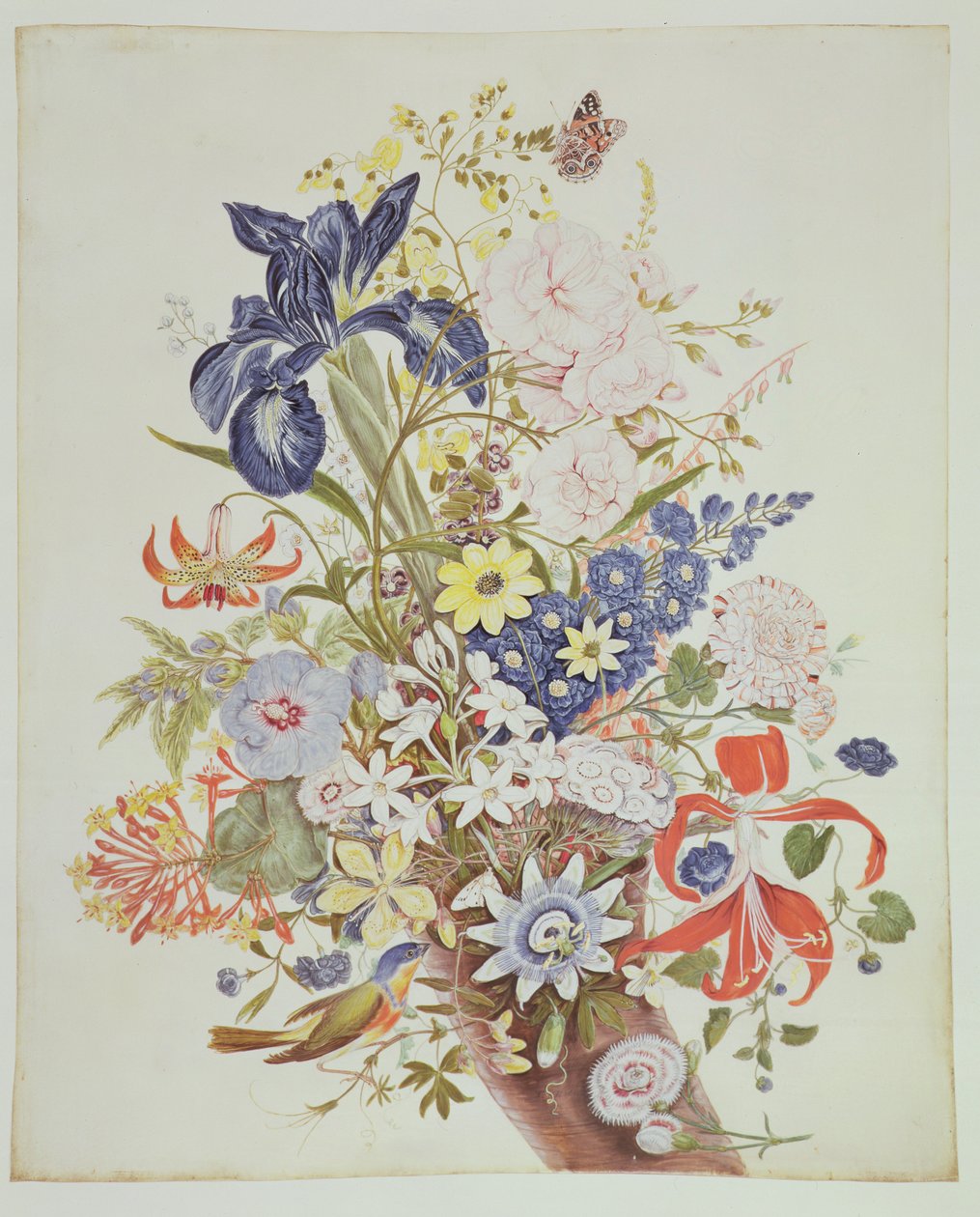 PD.915-1973 Blandade blommor i ett kranshorn, ca 1768 (wc och gouache på pergament) av Thomas Robins