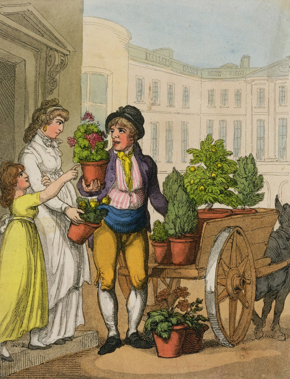 Cries of London: The Garden Pot Seller, 1799 (färgakvatint) av Thomas Rowlandson