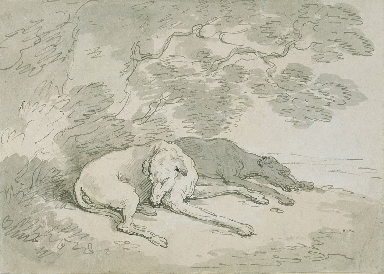 Greyhounds sover, (penna och bläck och wc på papper) av Thomas Rowlandson