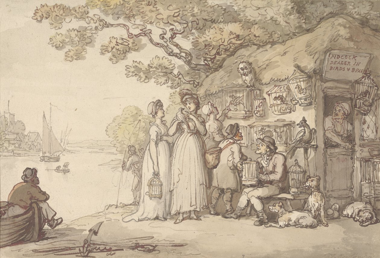 Pidcock, återförsäljare av fåglar och odjur (penna & bläck och wc på papper) av Thomas Rowlandson