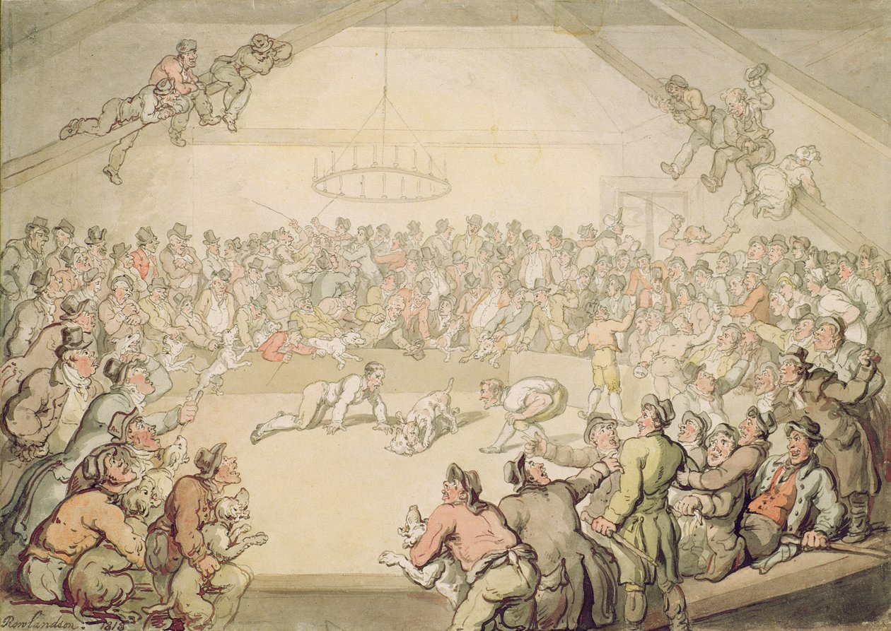 Hundkampen av Thomas Rowlandson
