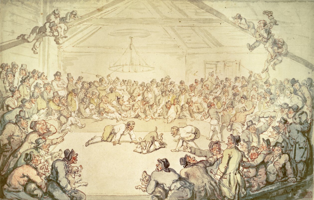 Hundkampen av Thomas Rowlandson