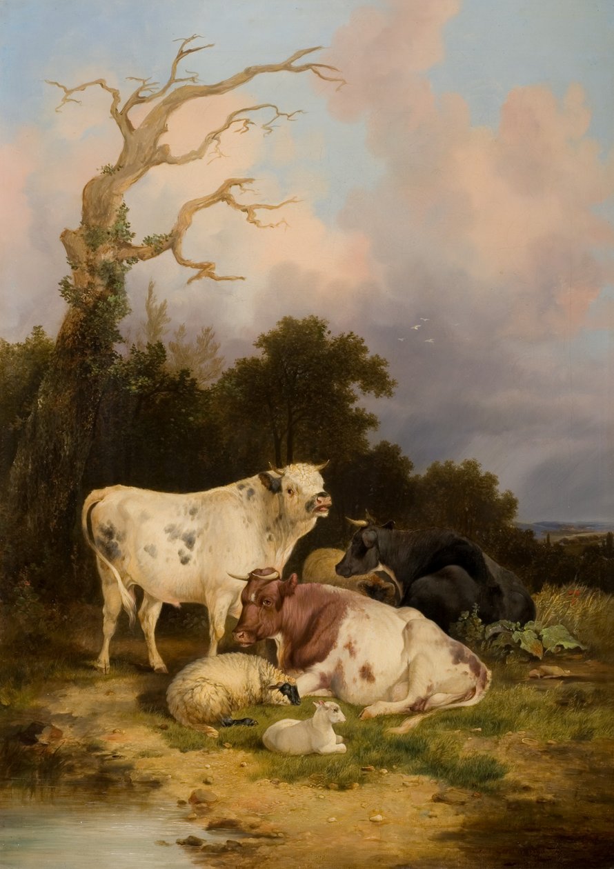 Nötkreatur och får av Thomas Sidney Cooper