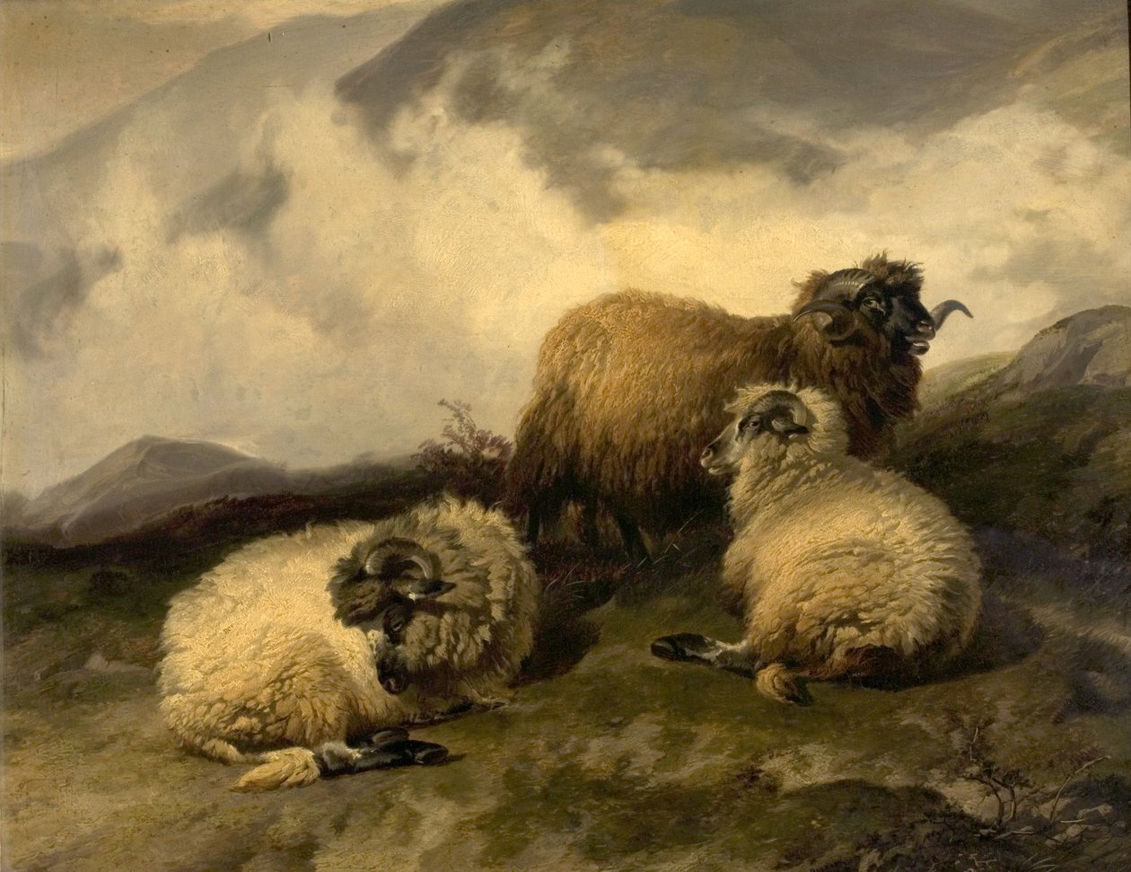Bergsfår (morgondimman rensar bort) 1846 av Thomas Sidney Cooper
