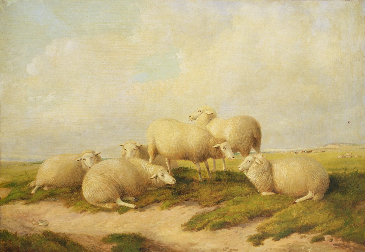 Får av Thomas Sidney Cooper