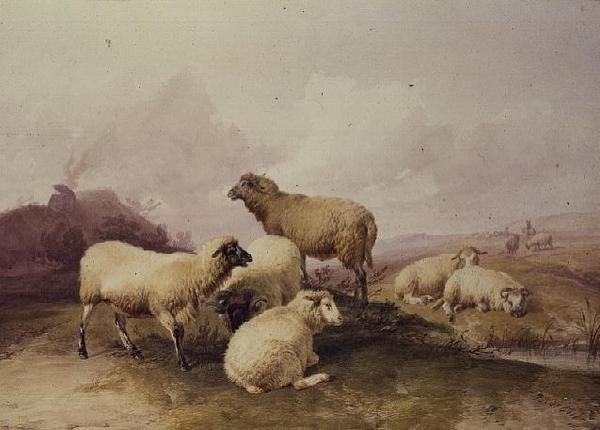 Får i ett landskap, 1844 av Thomas Sidney Cooper