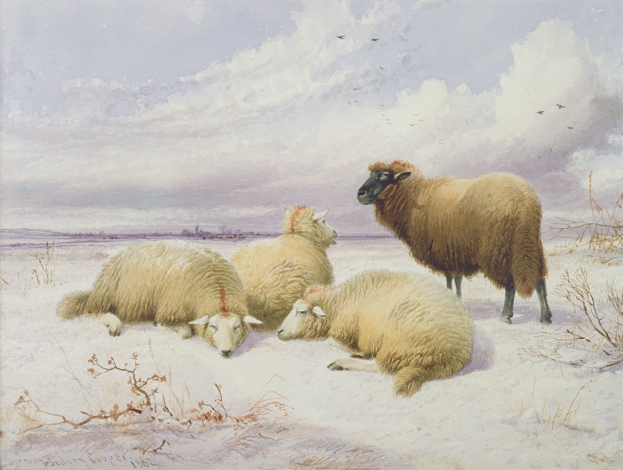 Får i snön av Thomas Sidney Cooper