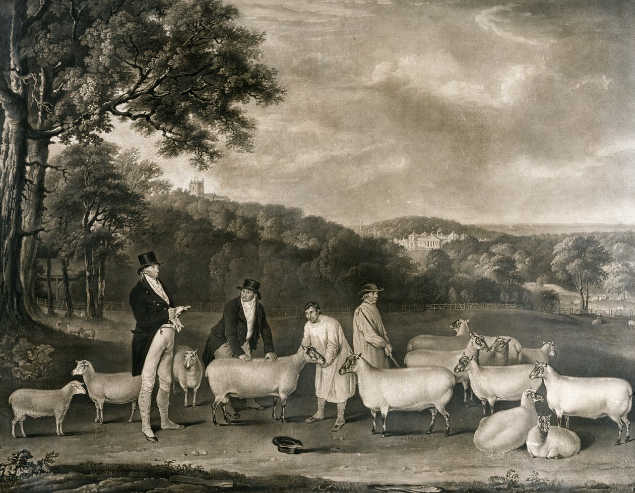 Porträtt av Thomas William Coke, Esq. (1752-1842) inspekterade några av sina South Down-får med Mr Walton och Holkham-herdarna, graverade av William Ward (1766-1826), 1808 av Thomas Weaver