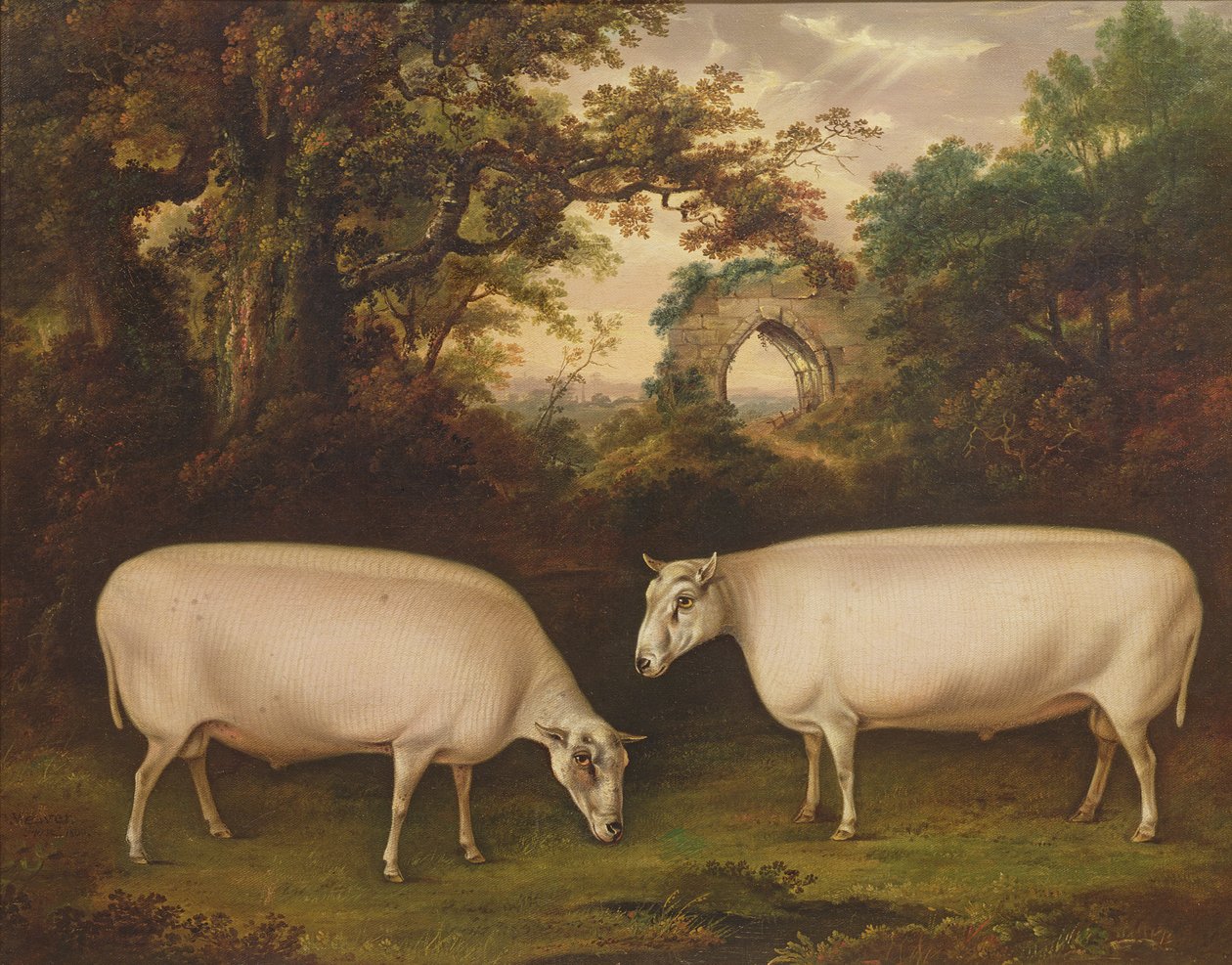 Two Prize Border Leicester Rams in a Landscape, 1800 av Thomas Weaver