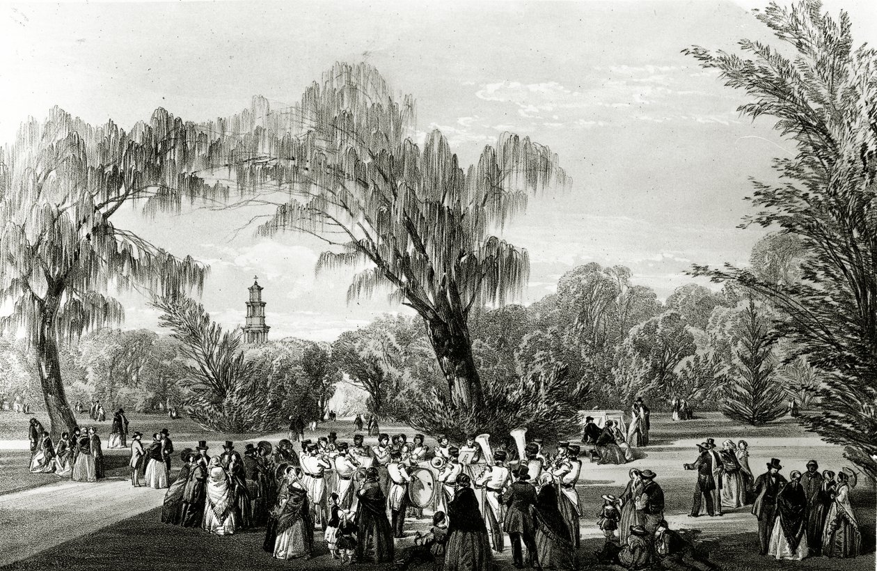 Botanical Gardens, Kapstaden, tryck gjord av W. Simpson, ca 1850-talet av Thomas William Bowler